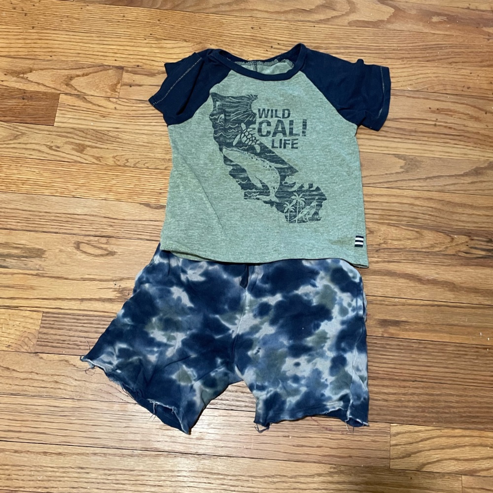 Boys size 4-5 splendid matching set